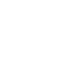 Electric Icon